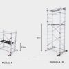 Conteudos-para-website-9-e1731081817122