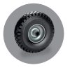 RODA